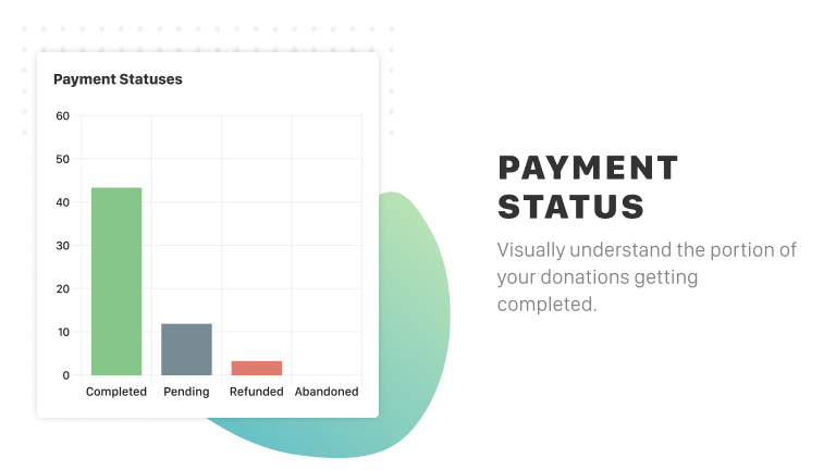 The "Payment Statuses" chart shows you visually understand the portion of your donations getting completed.