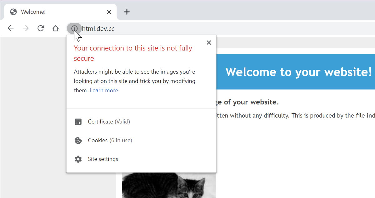A Chrome browser showing that there are assets on the page that are not secure, i.e. not loaded over HTTPS.