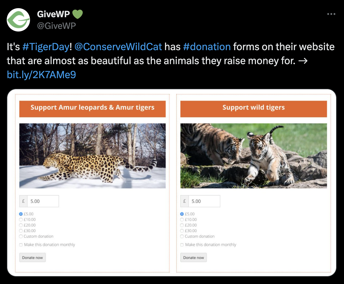 The GiveWP Twitter account showing a tweet about #TigerDay, directing people to give to Conserve Wildcat.