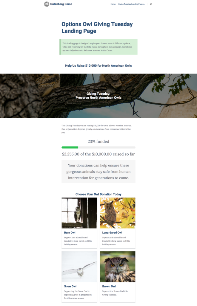 options owl landing page