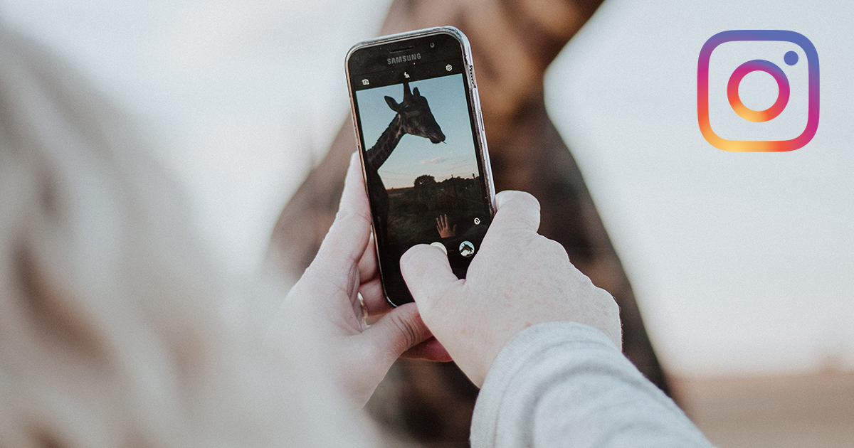 How to Use Instagram for Nonprofits examples featured image.