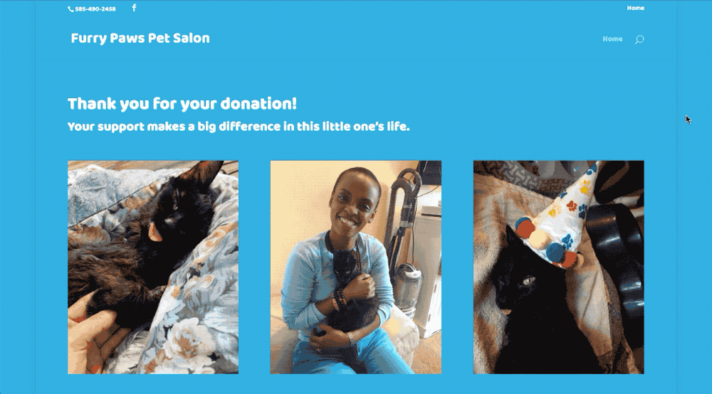 The Furry Paws Donation Confirmation Page is built with many of these tips in mind and increases donor retention.