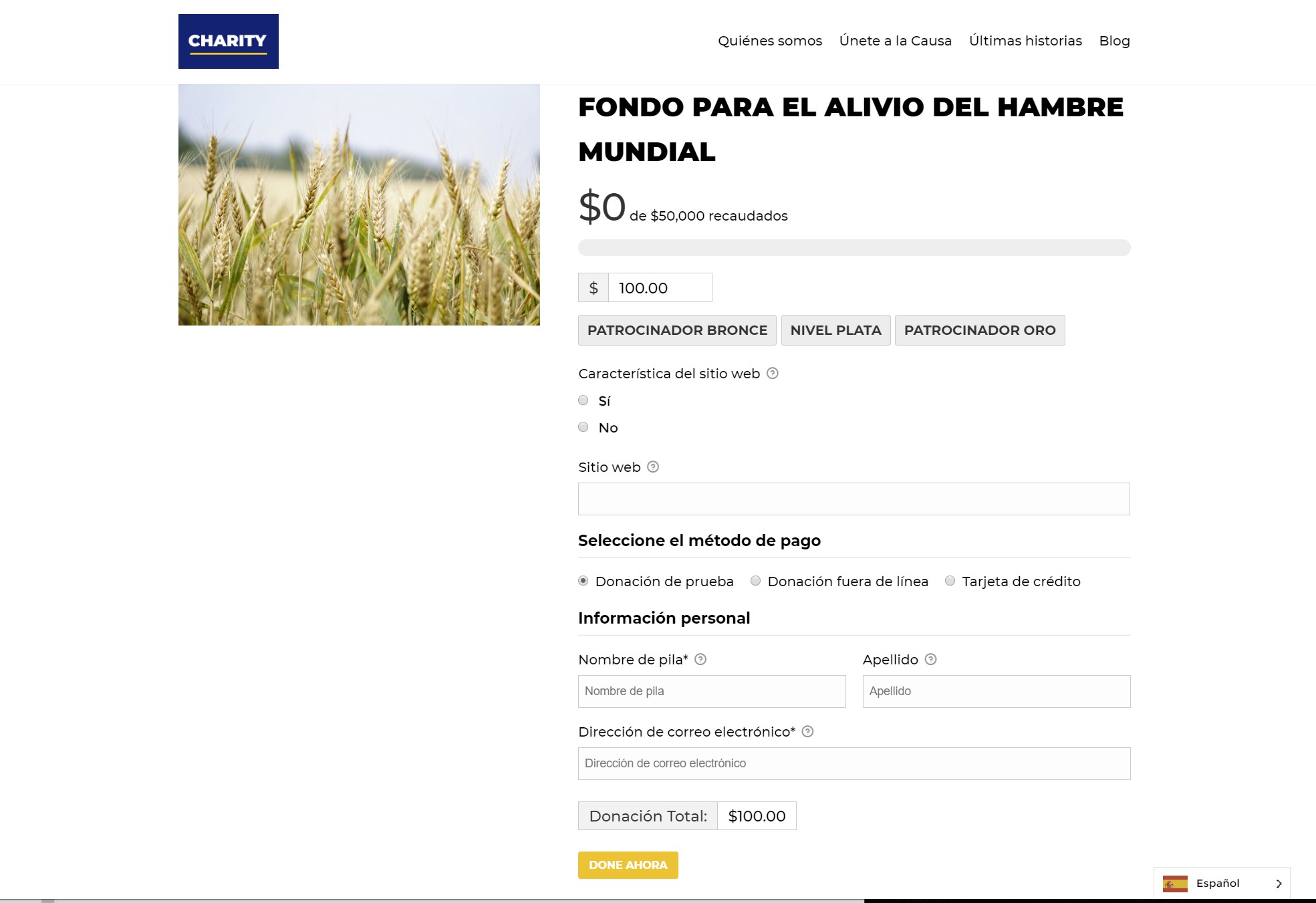 Weglot translated the entire donation form including the extra fields from Form Field Manager.