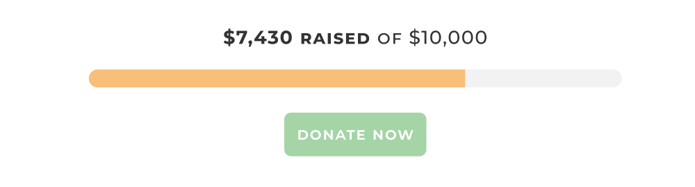 GiveWP donation goal progress bar indicating that $7430 of a $10,000 goal was raised.