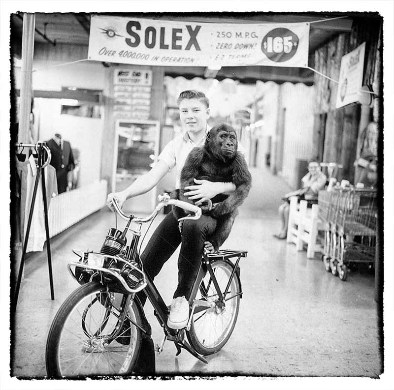 Ivan the gorilla and a young man riding a bike in a store. 