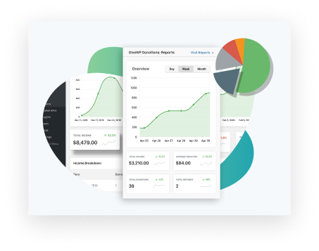 GiveWP fundraising reports include visualizations you can use in your donor impact report.
