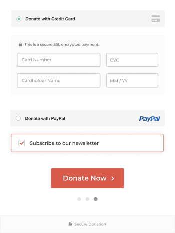 Before completing a donation, just after entering credit card details, donors are given a choice to opt-in to your email newsletter.