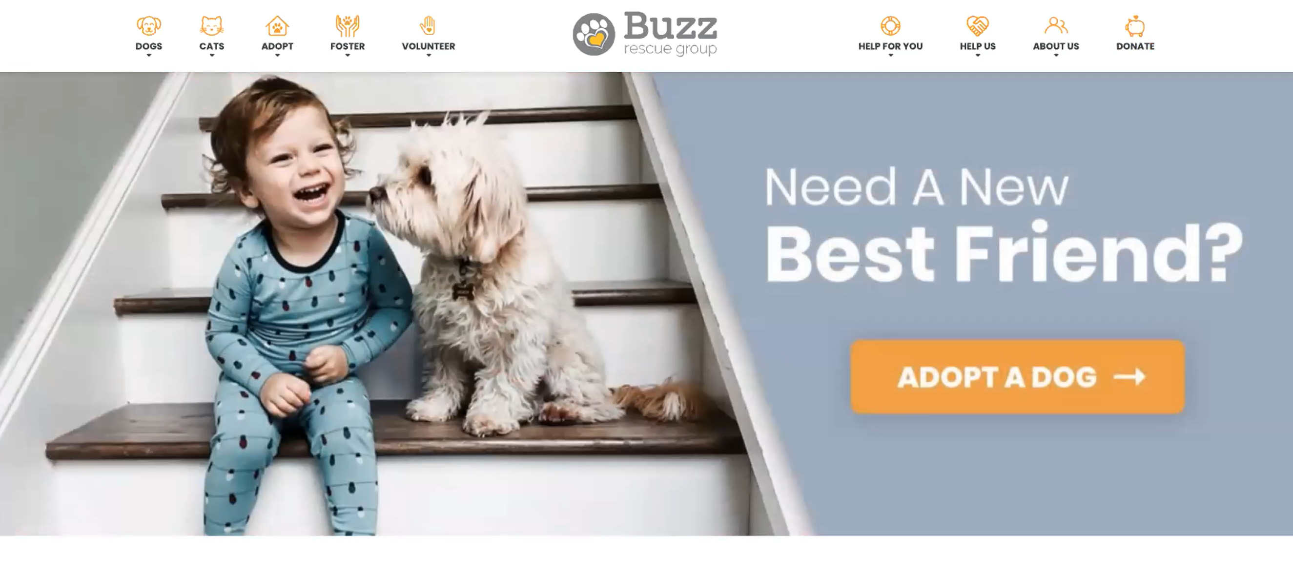 An example homepage for a rescue website would include a CTA to adopt a pet.