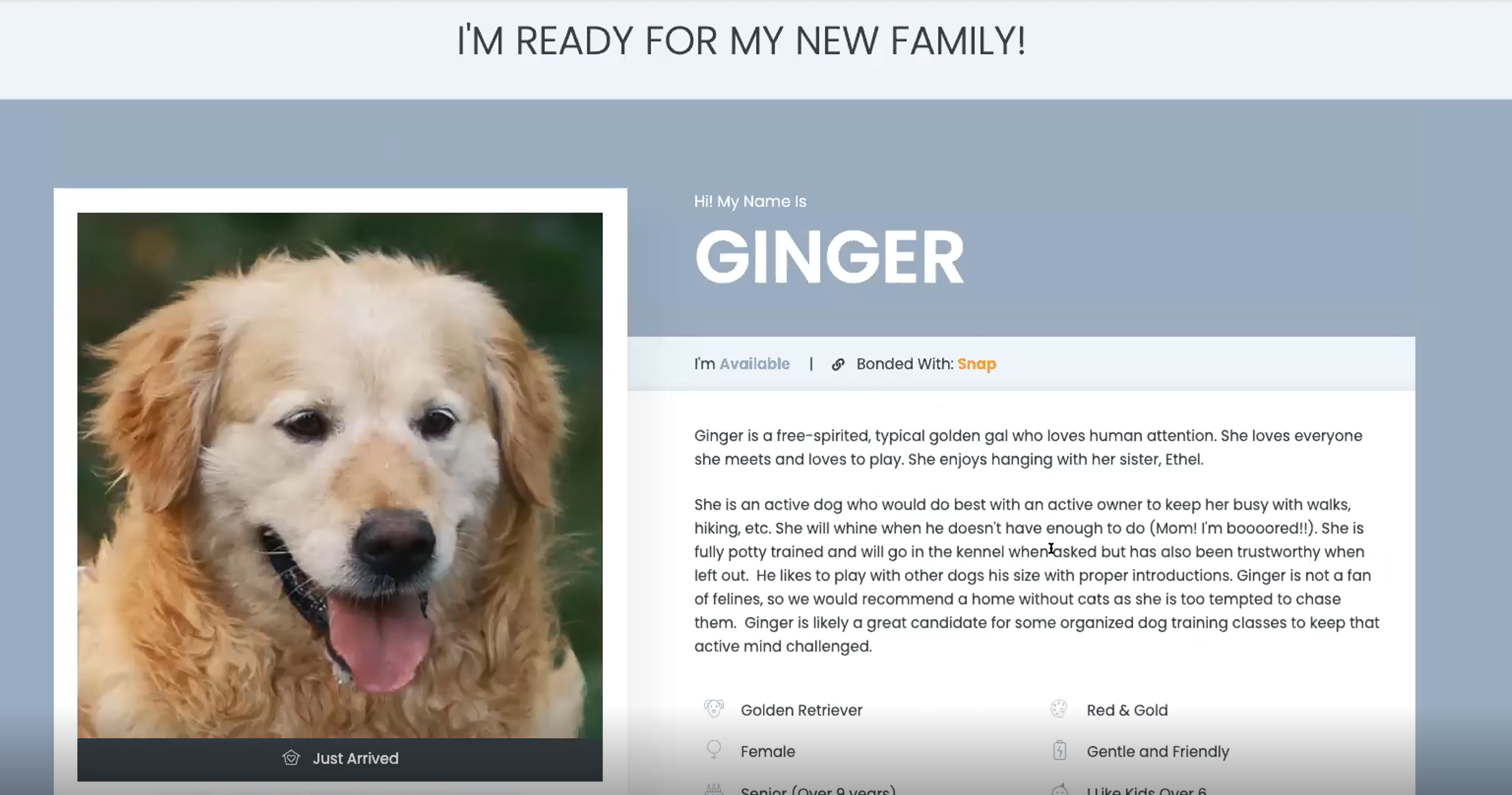 Ginger's profile shows everything we entered on the back-end in a beautiful front-end profile. 