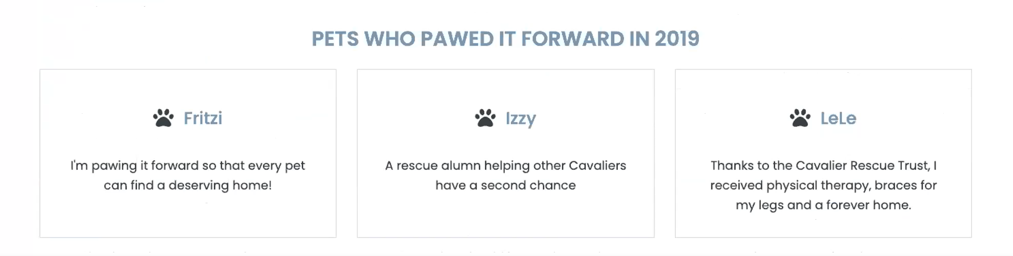 A donor wall shows the "Pets who pawed it forward in 2019."