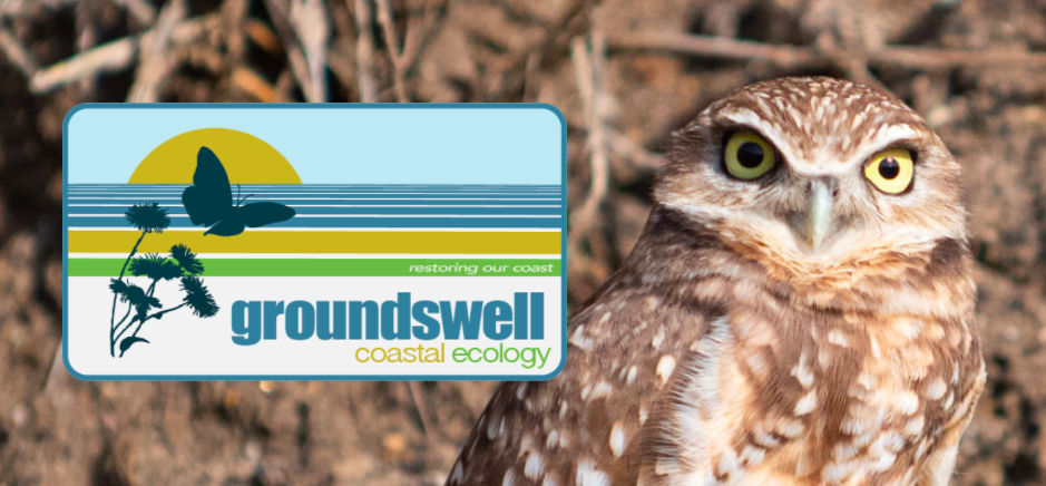 Groundswell's imagery shows an owl on their home page.
