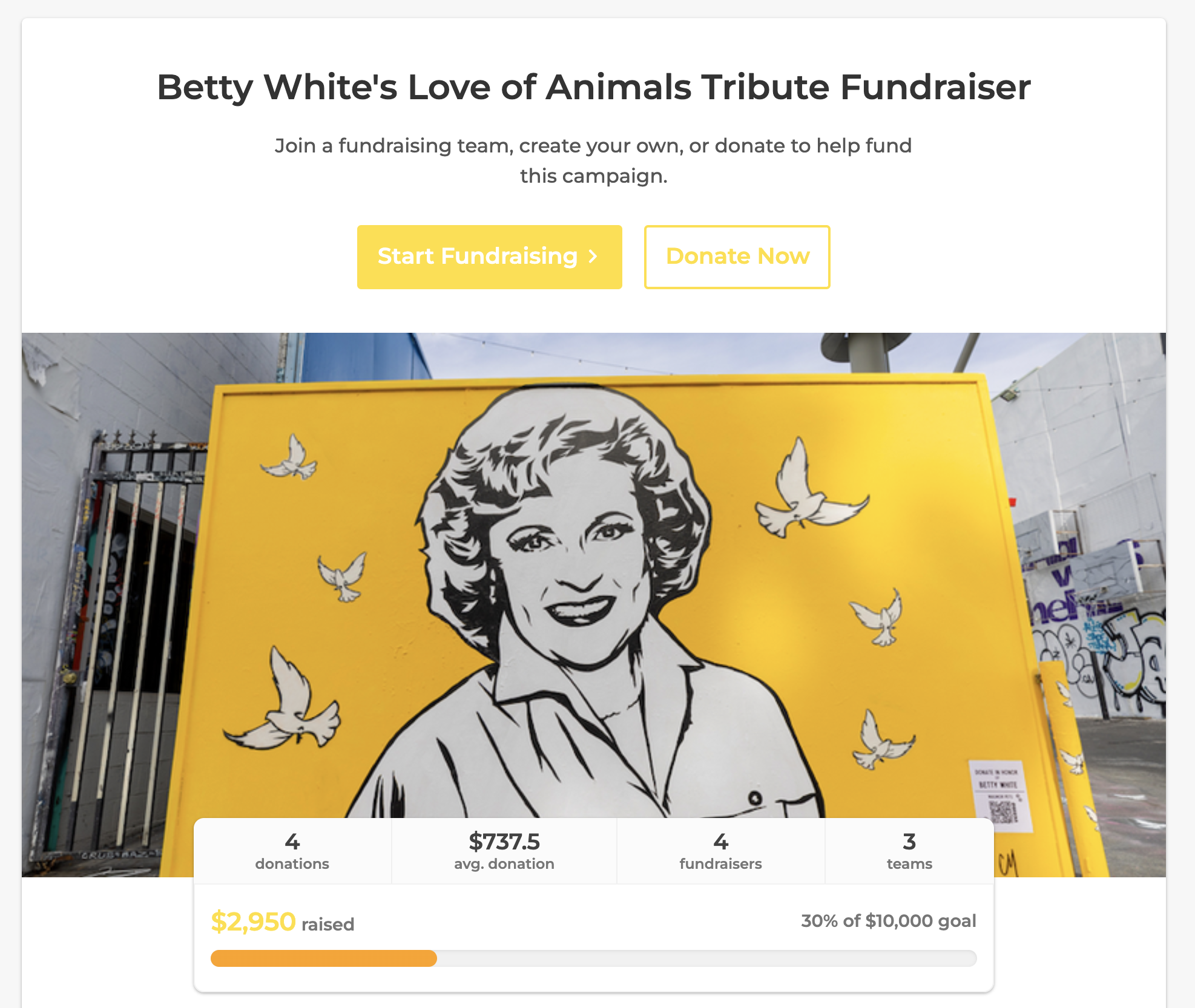 Betty White's Love of Animals Tribute Fundraiser. Join a fundraising team, create your own, or donate to help fund this campaign. [donation options below] Goal bar shows $2,950 raised of a $10,000 goal. 