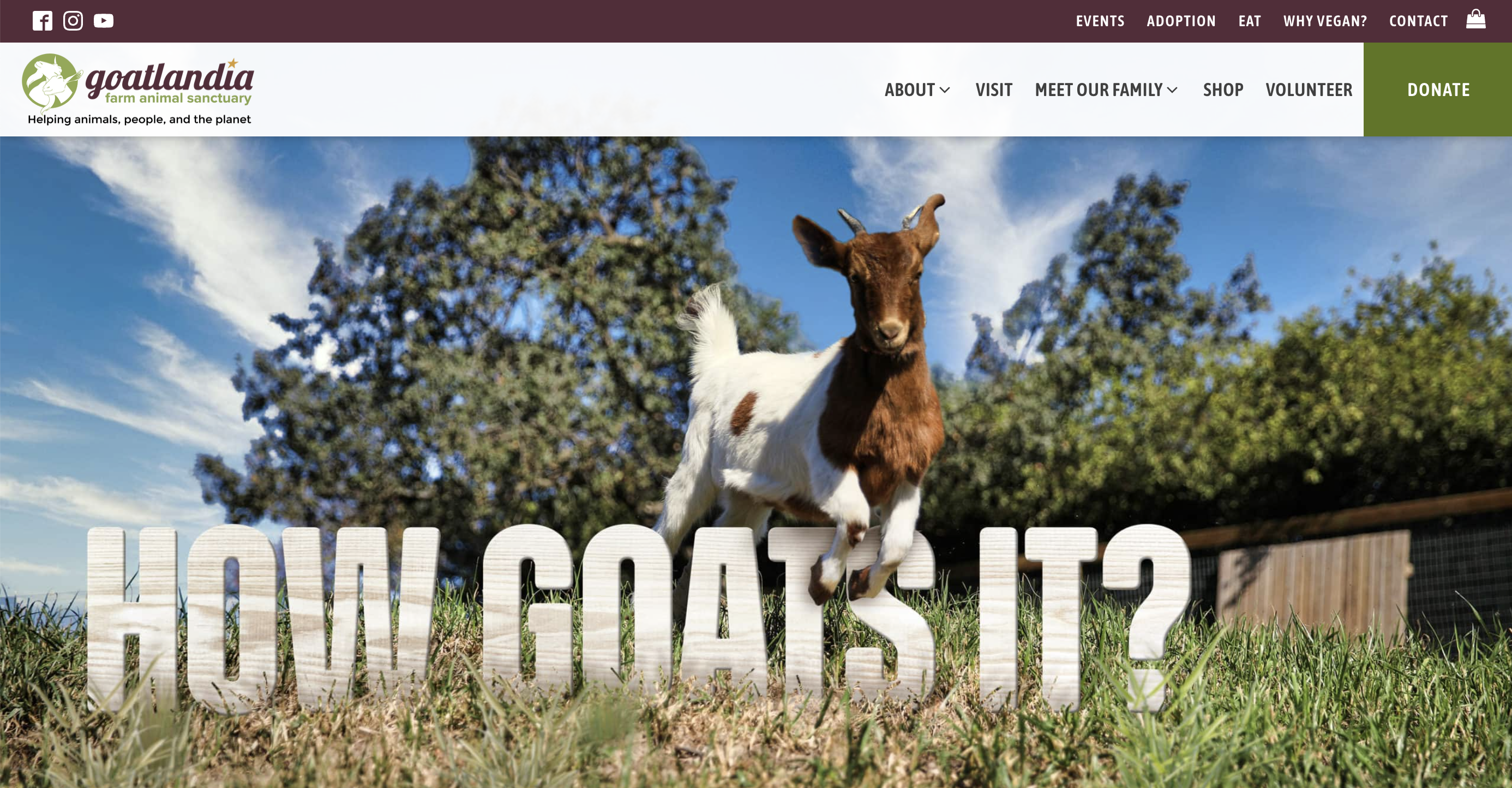 Goatlandia website home page