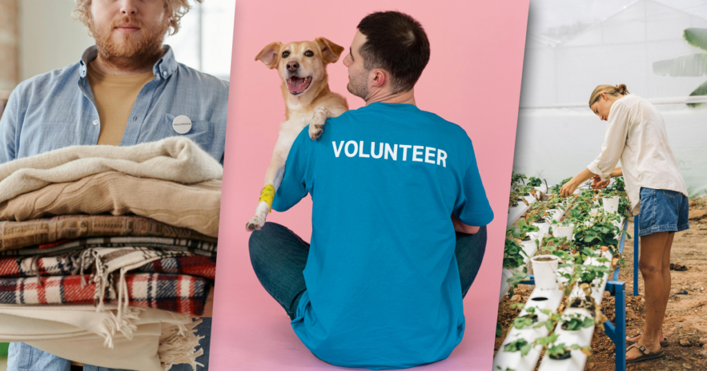 feature image for post Fundraising on WordPress - the complete guide