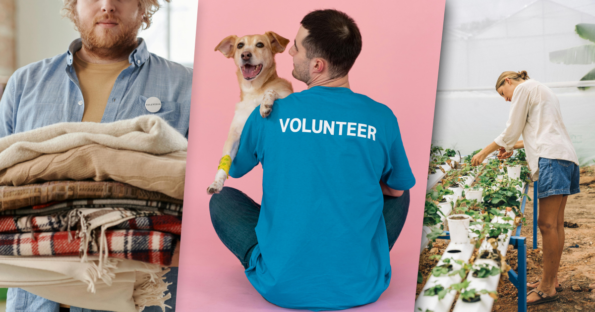 feature image for post Fundraising on WordPress - the complete guide