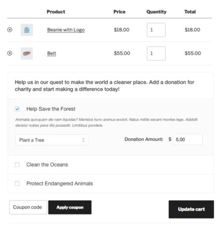 Notice how the amount field is customizable so the customer can give an amount they are comfortable with.