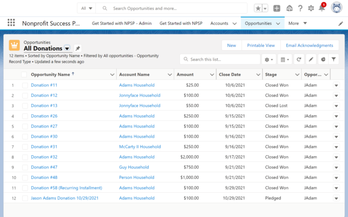 All donations list in Salesforce NPSP.